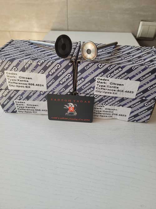 Xantia-and-Pars-ELX-cylinder-head-valve-3